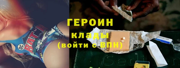 гашик Алексин