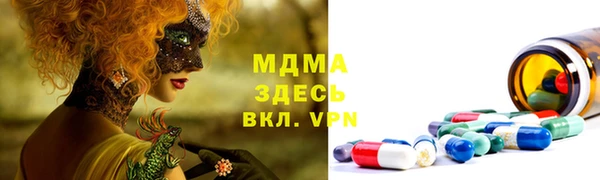 гашик Алексин