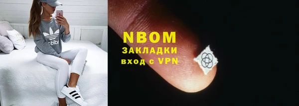 гашик Алексин