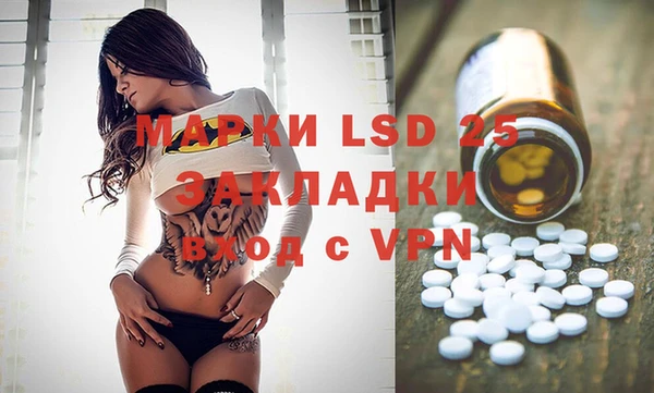 шишки Алзамай