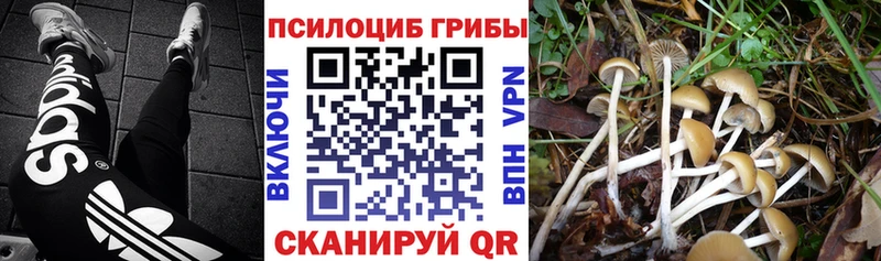 Галлюциногенные грибы мухоморы  Светлоград 