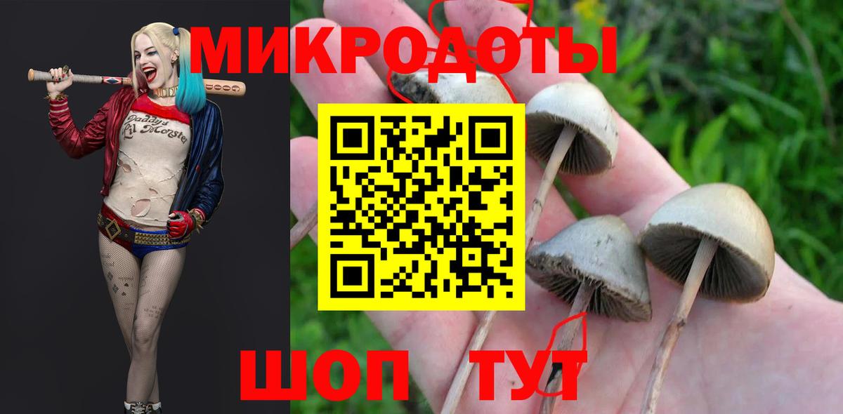 Галлюциногенные грибы Psilocybine cubensis  Псилоцибиновые грибы прущие грибы  Вход с VPN  Светлоград 